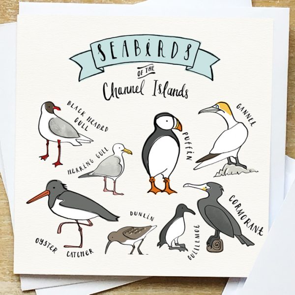 Seabird card of the Channel Islands